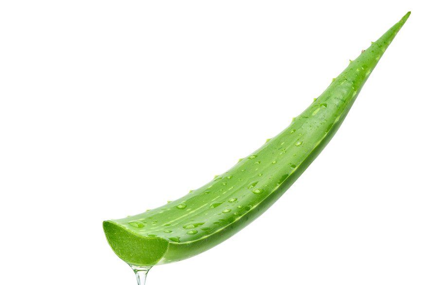 Aloe Vera Cream | Hydrating & Soothing Moisturizer