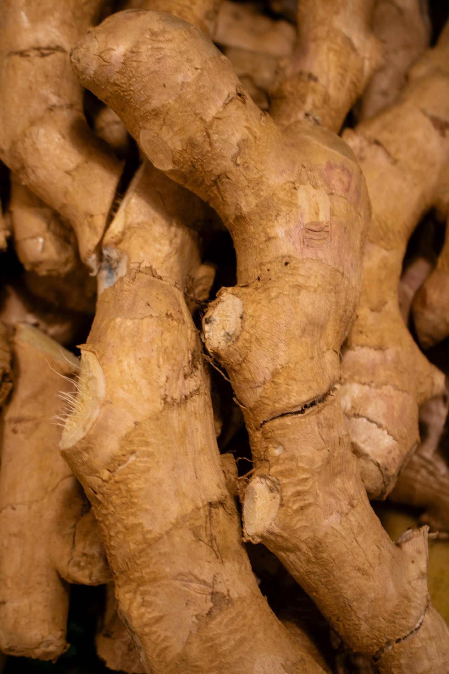 Why Choose Eco-Friendly Beauty Products